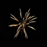 100_Crackling Flower Coconut Tree with Tail.jpg